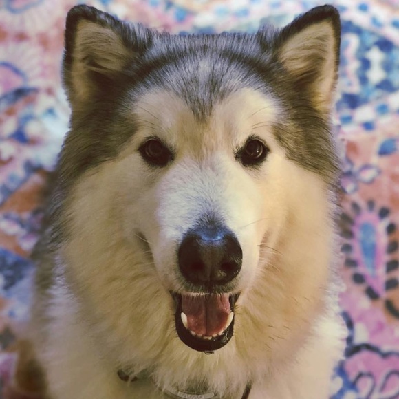 Meet your Posher, Kelly - Picture 1 of 1